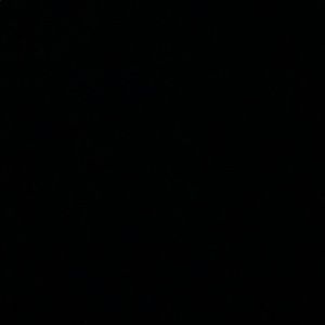 Meet your Posher, Melody